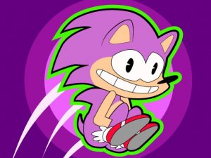 Sonic Rush Toilet Puzzle Game