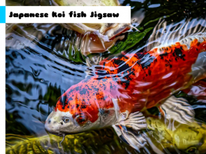 Japanese Koi Fish Jigsaw Puzzle Game Online