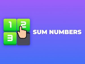 Sum Numbers Puzzle Game