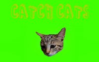 Catch Cats Online Game