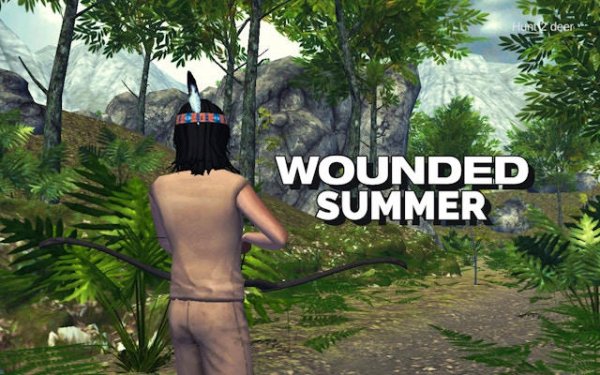 Wounded Summer: Western Precision Fighter Adventure Game