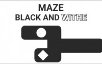 Maze Black And White: 10 Level Challenge Puzzle Game