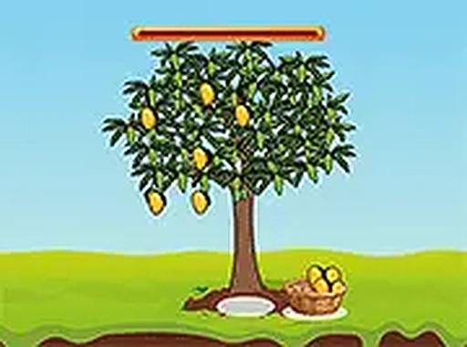 Forest Life Cycle Simulator