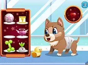 Stray Dog Care Online Game